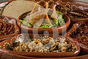 Plate with multiple edible insects, traditional Mexican food