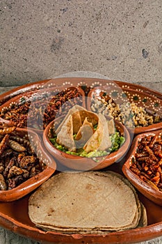 Plate with multiple edible insects, traditional Mexican food