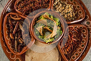 Plate with multiple edible insects, traditional Mexican food