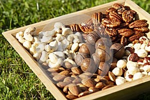 Plate of nuts on grass