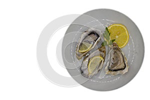 Plate with oysters shellfish organic traditional antioxidant lemon isolated on white background