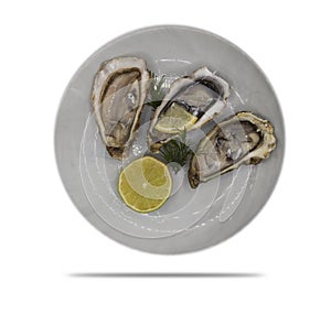 Plate with oysters  tasty  organic traditional antioxidant lemon isolated on white background