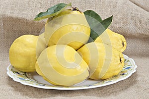 Plate with quinces