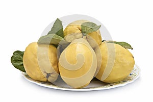 Plate with quinces