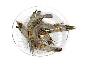 Plate with raw shrimp