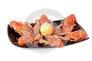 Plate of red boiled lobsters