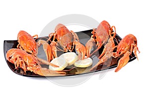 Plate of red boiled lobsters