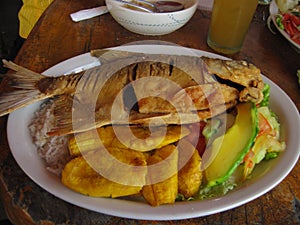 A plate in a restaurant with grilled whole fish salad with tomato and avocado and fried plantain bananas with rice