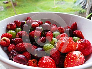 plate with ripe berries gardens close-up.