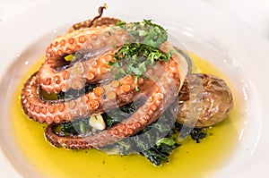 A plate of roasted octopus portuguese style photo