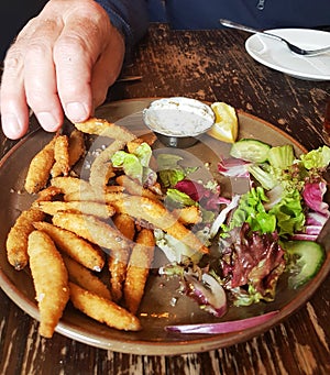 A plate of salas and whitebait photo