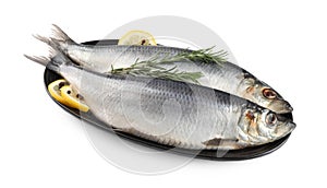 Plate with salted herrings, slices of lemon, peppercorns and rosemary isolated on white