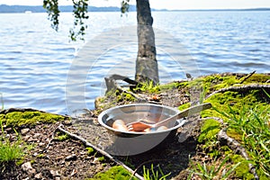 Plate with sausages on the ground.