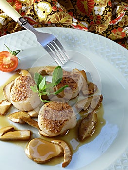 Scallops with ceps and mushrooms sauce photo