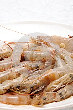 Plate of sea food