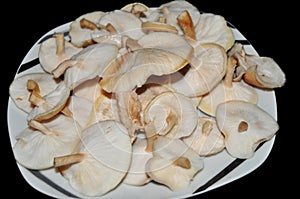 Plate of Shiitake mushrooms cultivate the traditional organic way