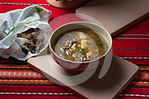 Plate of soup from dried white mushrooms.