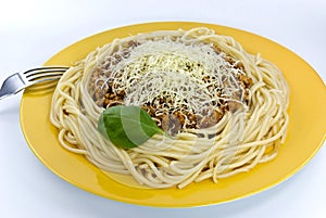 Plate of spaghetti with parmes