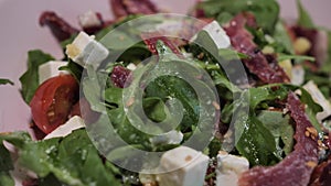 A plate with the spanish cheff salad with goat cheese, jamon and green rucola