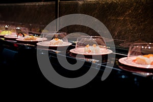 Plate of sushi in conveyor belt