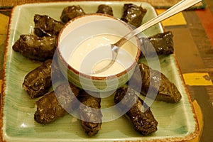 Plate of Tasty Armenian Dolma Tolma or Grape Leaves Rolls with Yogurt Dip photo