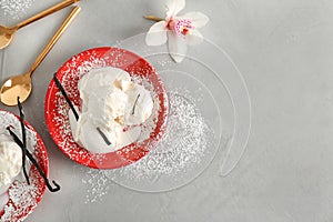 Plate with tasty vanilla ice cream