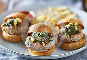 Plate of three turkey burger sliders with fries