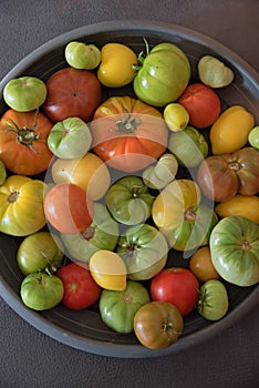 Plate with tomatoes in different degrees of ripeness