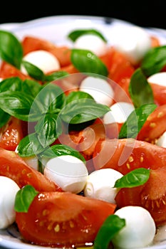 Plate of tricolore salad,
