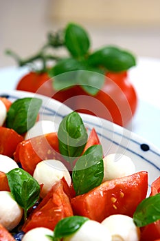 Plate of tricolore salad,