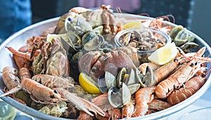 Plate with various shellfishes photo