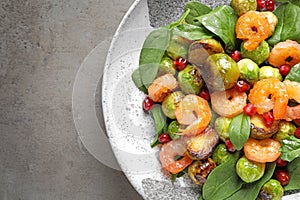 Plate of warm salad with Brussels sprouts on table, top view. Space for text