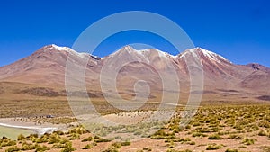 Plateau Altiplano with very untypical nature in Bolivia