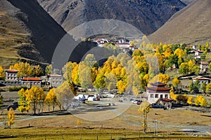 The plateau atumn scenery of Xinduqiao photo