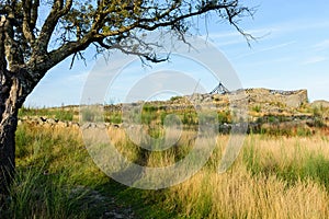 Plateau Citania de Sanfins Portugal photo