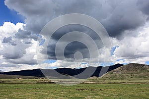 Plateau grassland-1