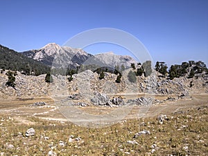Plateau of Mount Tahtali, Turkey