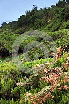 Plateau of Parque natural de Madeira, Madeira isla