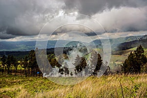 The plateau with several trees is in the mountains