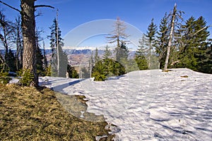 Plateau on the top of Poludnica hill in Low Tatras mountains