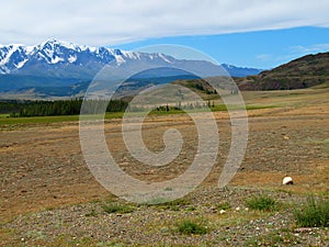 Plateau Ukok, mountain Altai