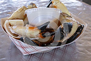 Cracked Stone Crab Claws Served with a Mustard Sauce Ready to Eat photo