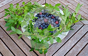 Plateful of fresh Finnish berries served on a white plate on a wooden table