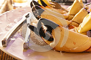 Plateful of Large Stone Crab Claws Ready to Eat photo