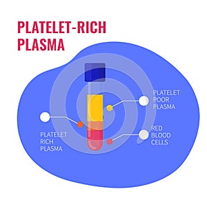 Platelet rich plasma composition infographic medical poster