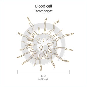 Platelet thrombocyte blood cell vector photo