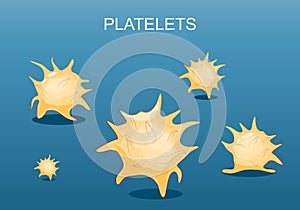 Platelets. Close-up of thrombocytes
