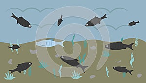 Plates against the current. One fish swims in another direction. A symbol of courage, individuality, loneliness or a different way