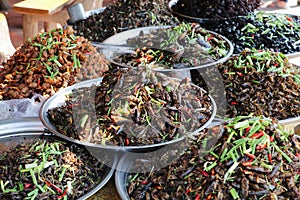 Plates of cooked insects sold in a Cambogian street market