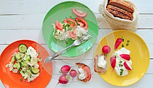 Plates with cottage cheese with vegetable